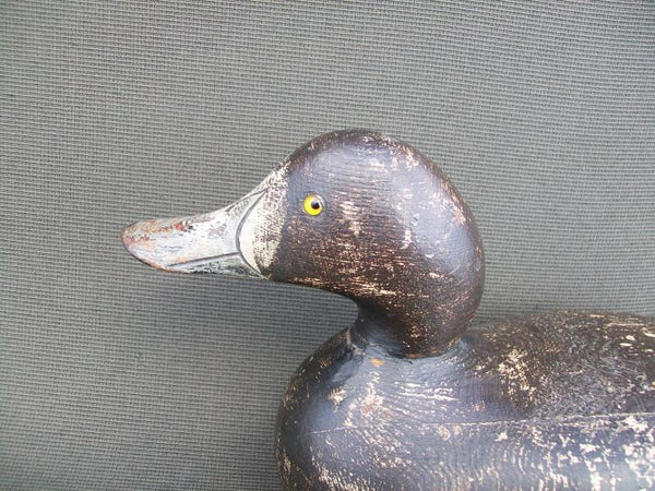 Mason Challenge Grade Blue Bill Hen