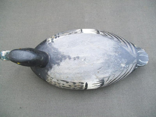 Schoenheider Sr. Bluebill with Chessman Paint