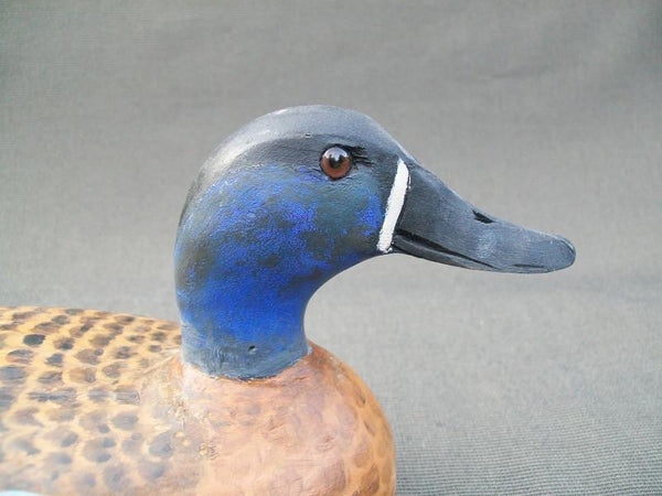Elliston Style Blue Wing Teal