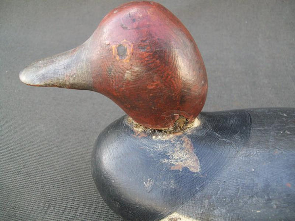 Mason Painted Eye Redhead