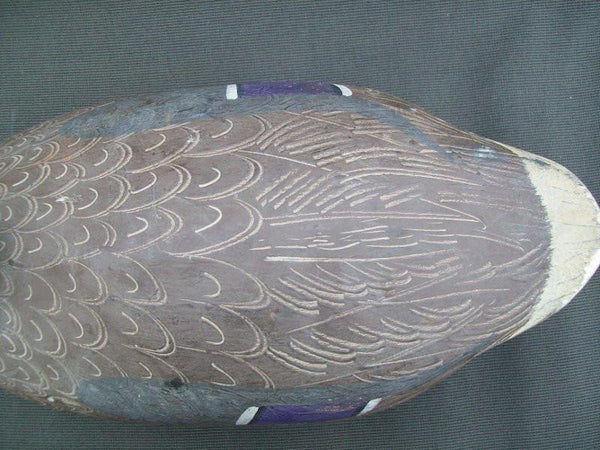 Ken Harris working Mallard Hen