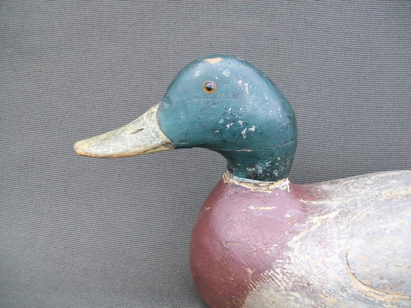 Evans Mammoth Mallard Drake