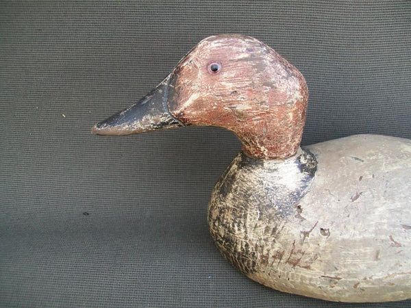 Evans Canvasback Standard Grade Original Paint