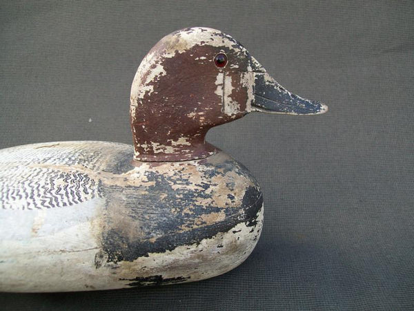 Sibley Drake Canvasback, Original Paint