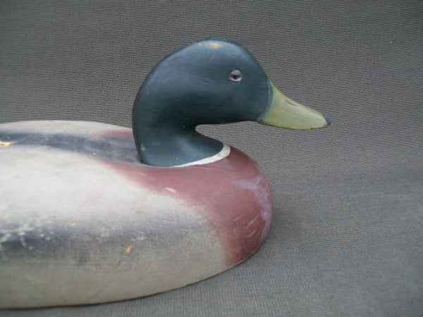 Wildfowler Mallard Drake, Old Saybrook
