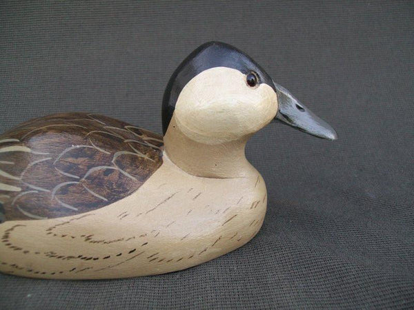 Ruddy Duck by Charles Moore