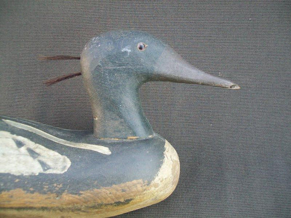Merganser Working Decoy with weight possibly Maine