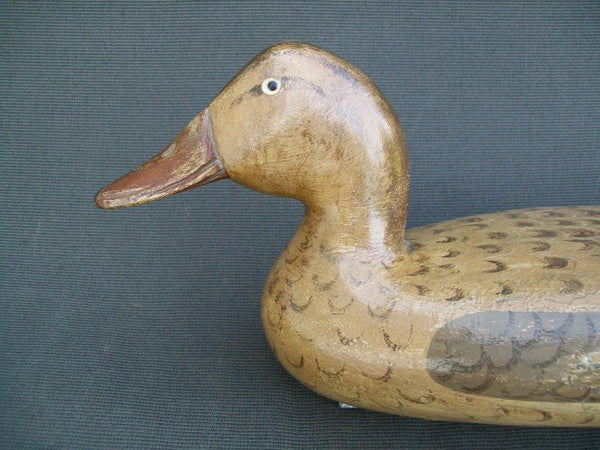 Robert Elliston Mallard Hen with weight
