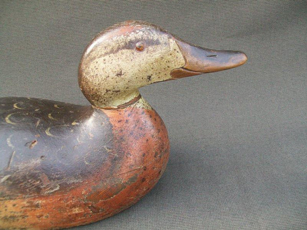 Mason Premier Mallard Hen O.P.