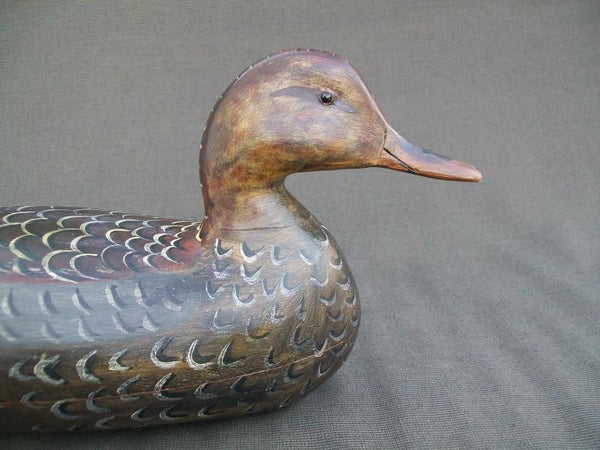 Illinois River Mallard Hen Working Decoy