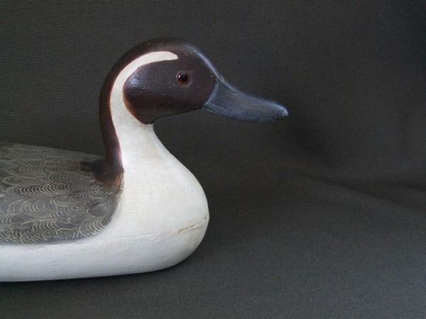 Robert Weeks Illinois River Pintail