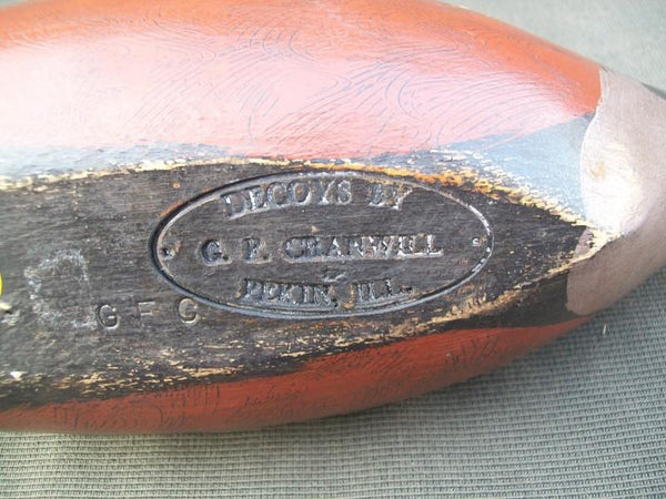 G.F. Cranwill Hooded Merganser, Pekin Illinois