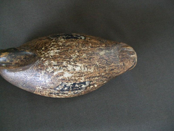 Working Illinois River Mallard Hen Circa 1890's