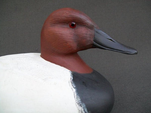 Gary Lynn Canvasback Drake