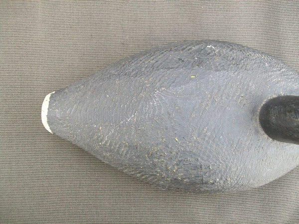 Herters Santa Marta Coot