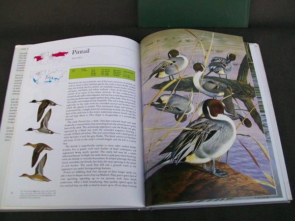 Lot of 2 Hardcover Books - Ducks of North American and the Northern Hemisphere, and American Wildfowl Decoys