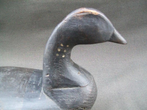 New Jersey Barnaget Bay Brant Circa 1890.  (#1101)