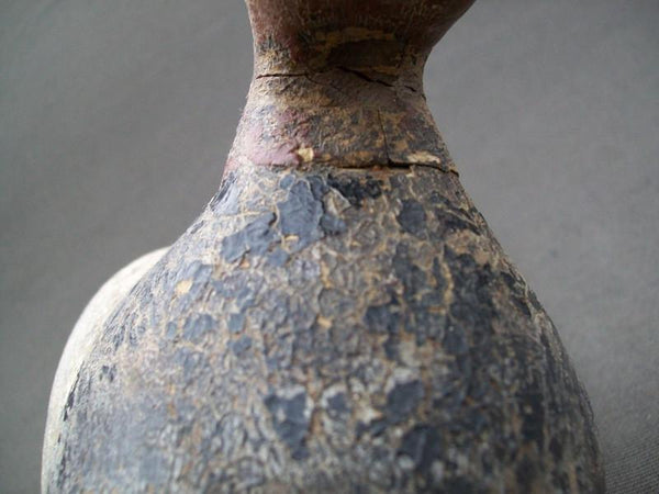 Illinois River Canvasback with weight