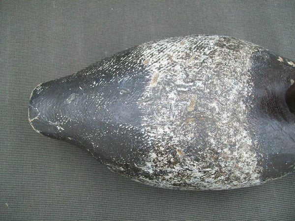 Unknown Wisconsin Redhead Tackeyes