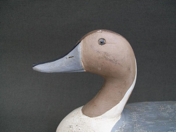 Schoenheider Jr. Pintail Drake Original Paint