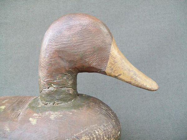 Nicholas Englhart Mallard Hen Manito Illinois Circa 1930