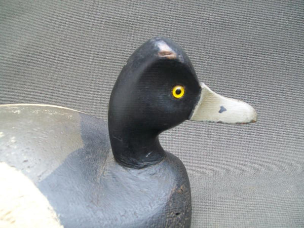 Robert Viener Blue Bill Drake Circa 1930- Original Paint  (#2476)