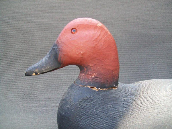 Herters 1893 Series Canvasback