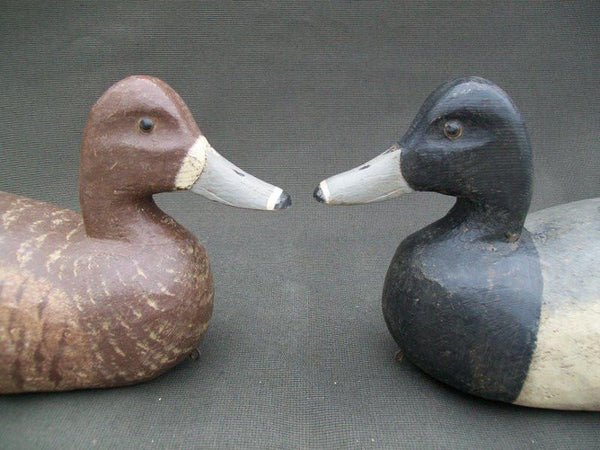 R.W. Schaap Blue Bill Pair