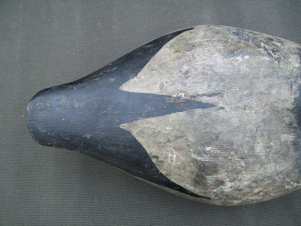 Vintage Wisconsin Canvasback Drake with Weights