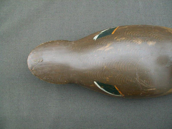 Padco Hen Pintail original paint