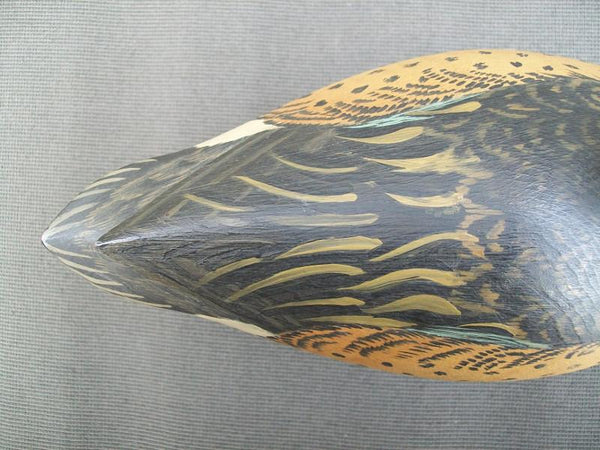 Marty Hanson working Blue Wing Teal