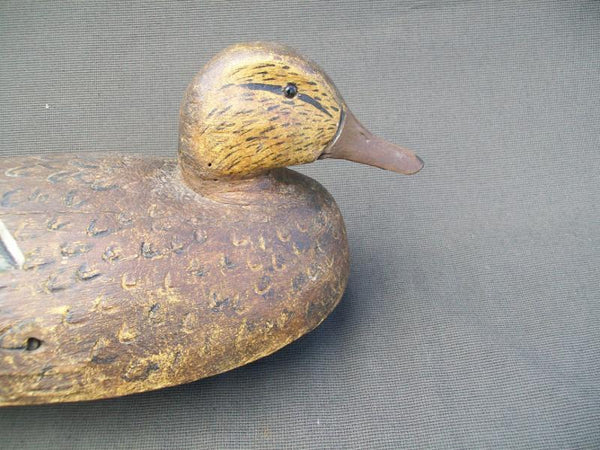 Frank Schmidt Mallard Hen with Keel