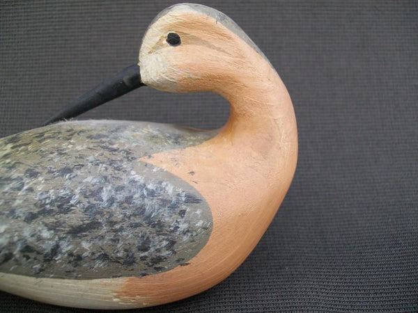 H V Shourds III Preening Shorebird from the Joe French Collection