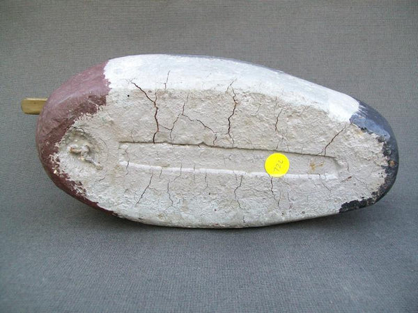 Illinois River Mallard Pair