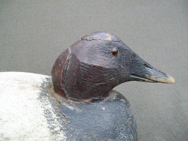Jim Kelsen Michigan Canvasback Drake