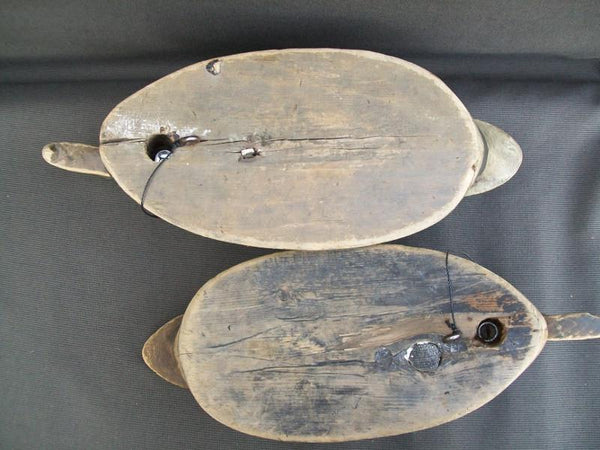 Canada Mallards William Clark