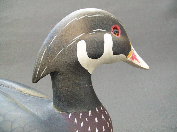 Ken Harris Wood Duck slightly turned head