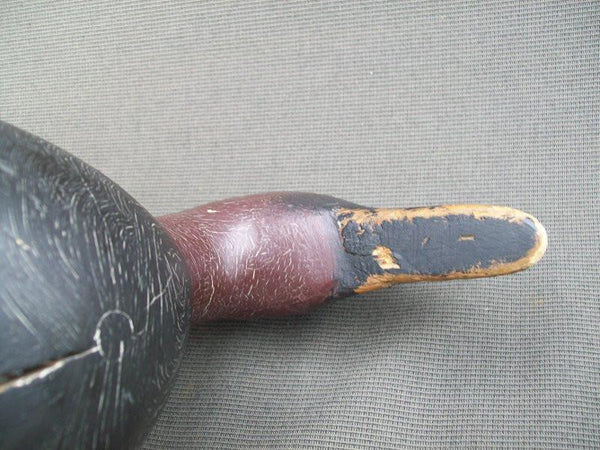 Mason Senica Lake Canvasback