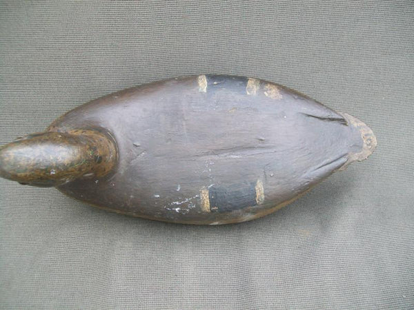 Charles Althoff Mallard Hen