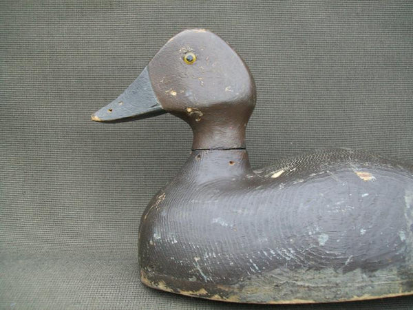 Canadian Golden Eye Hen Original Paint