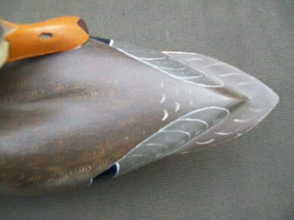 Earl Fox Mallard Hen Preening