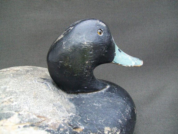Ward Brothers Bluebill Drake circa 1940's