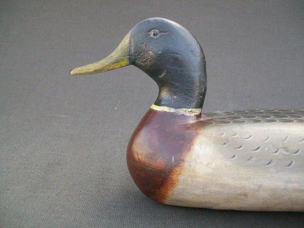 Illinois River Mallard Drake