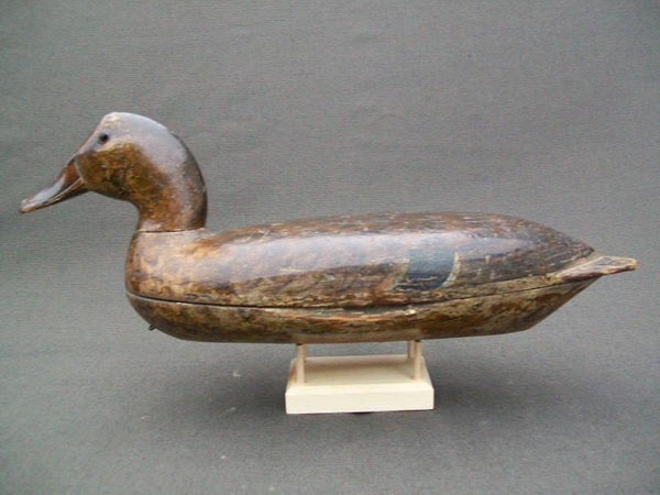 Elliston Mallards Pair