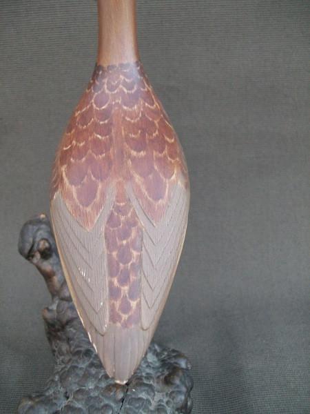 Illinois River Fred Destri Shorebird