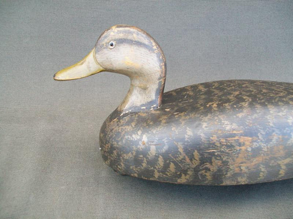 Wildfowler Old Saybrook Blackduck, Stamped, Original Paint