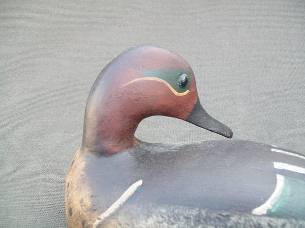 Preening Green Wing Teal- Dennis Entwistle