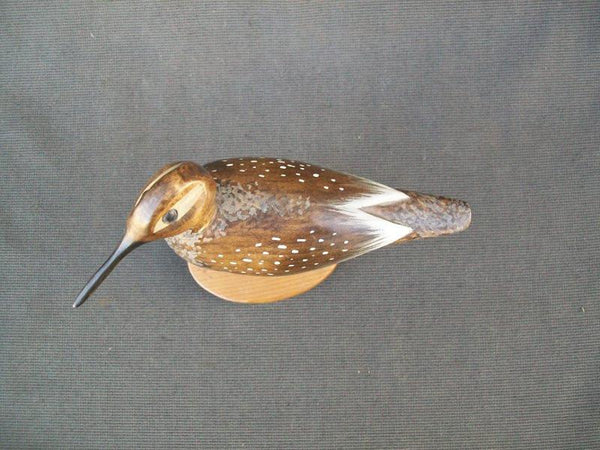 Yellow Legs Shorebird by Paul Lambrecht