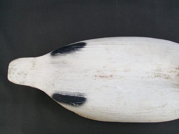 Herters Snow Goose- Tenite Head