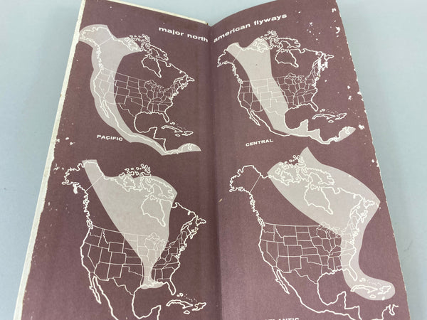 Lot of 4 Books for Carving and Painting Decoys as well as an Index to Waterfowl